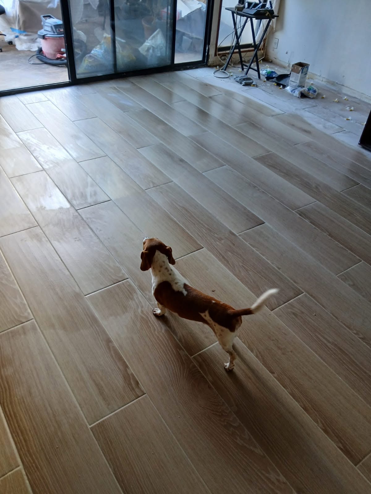 After Luxury Vinyl Flooring
