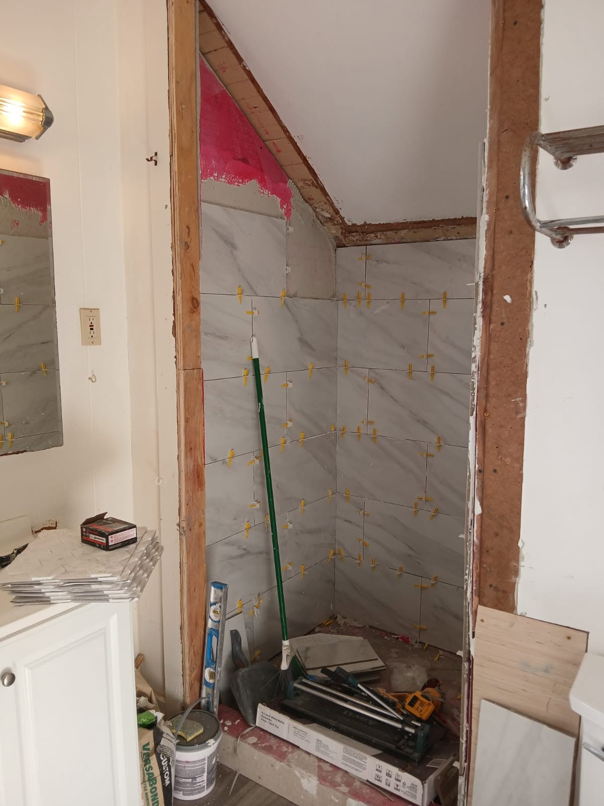 Before Bathroom Shower Remodel