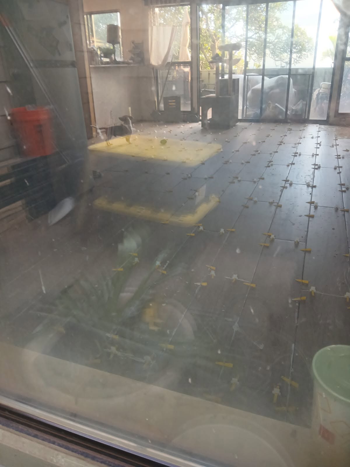 Before Luxury Vinyl Flooring