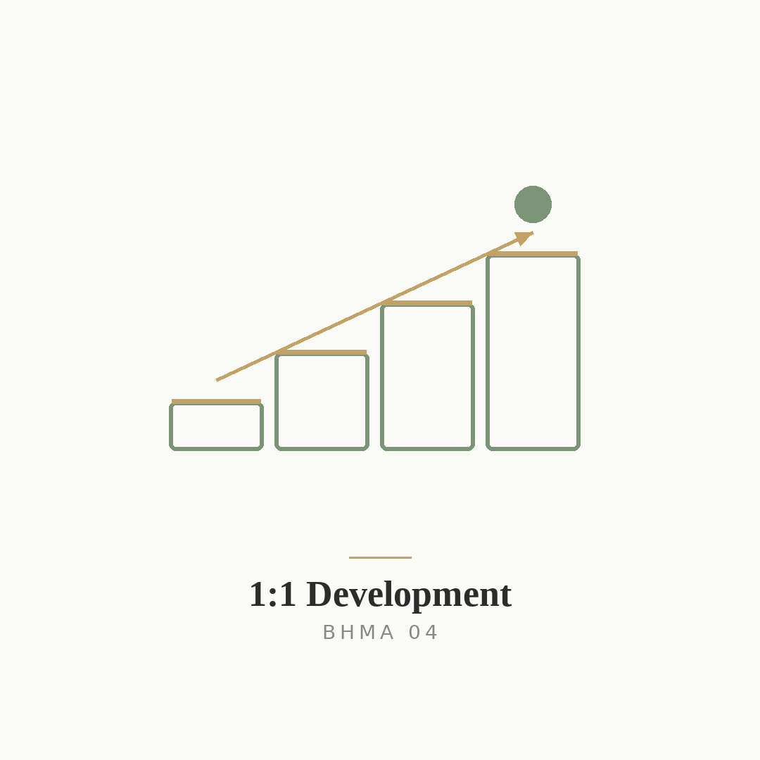 1:1 Development