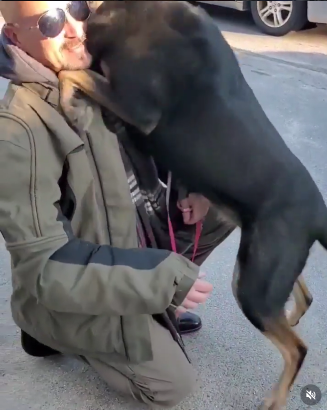Raven greeting enthusiastically