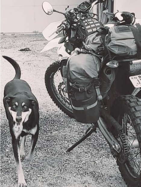 Raven outside by a motorcycle