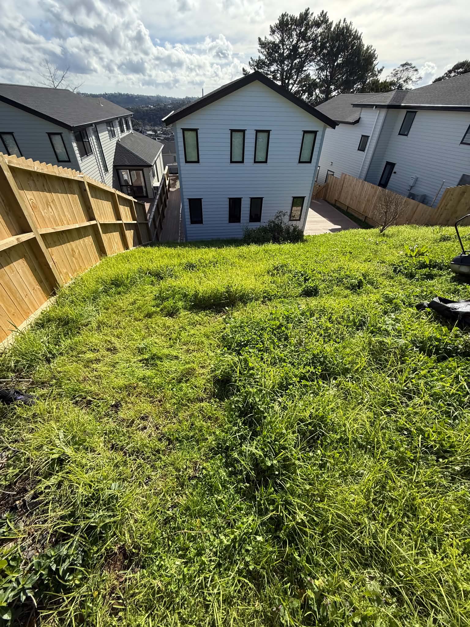 Overgrown property before