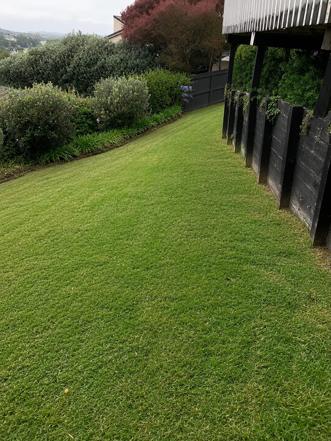 Clean lawn after