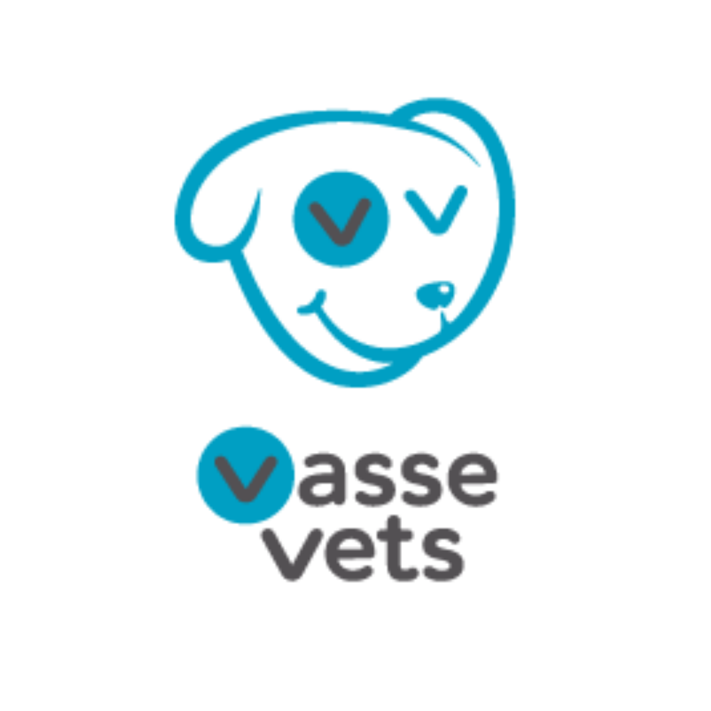 Vasse Vets