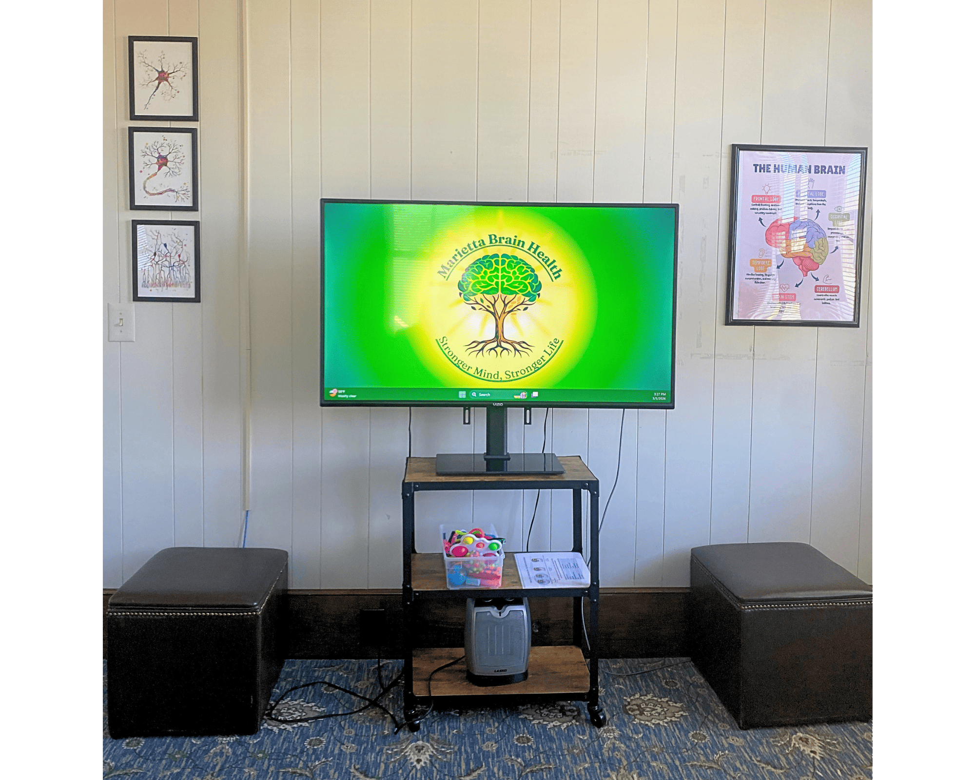 Neurofeedback training display