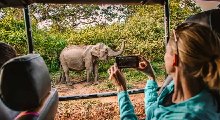 Island Tours gallery 9