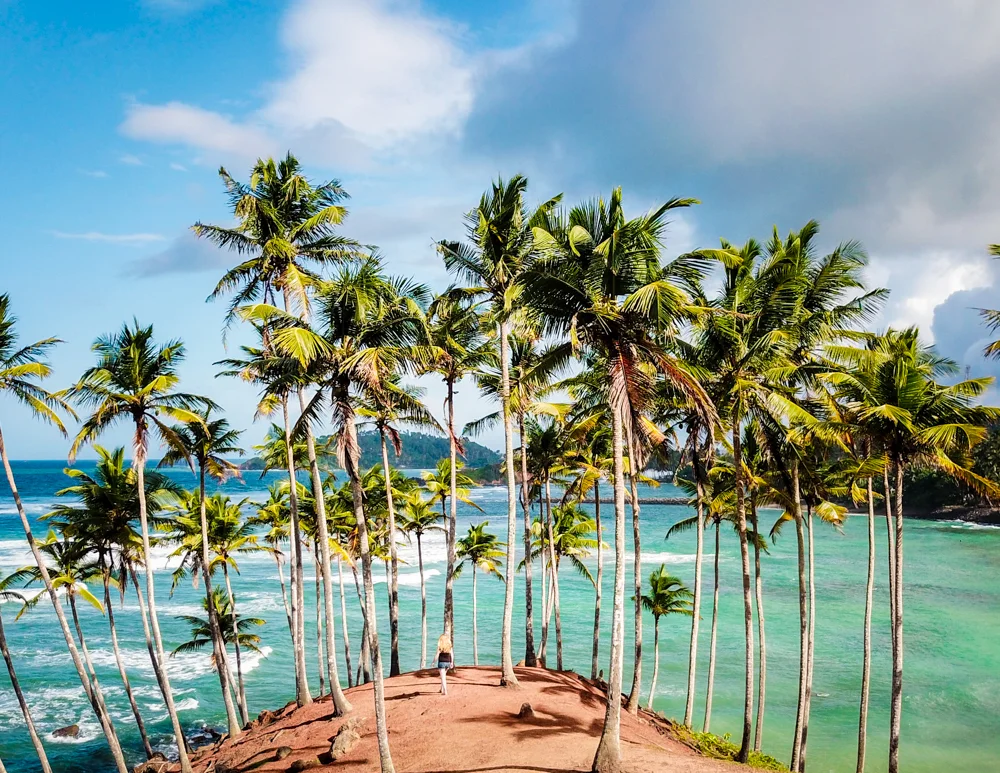 Island Tours gallery 10