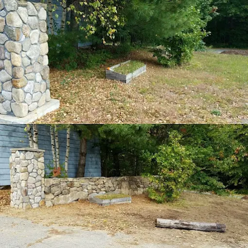 Lawn Renovation Before and After
