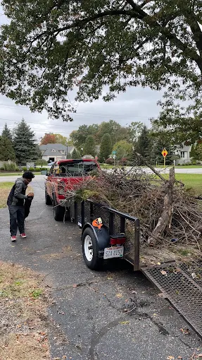 Pruning Services