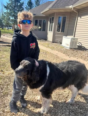 Poo Pickers Ohio technician performing pet waste removal in a backyard