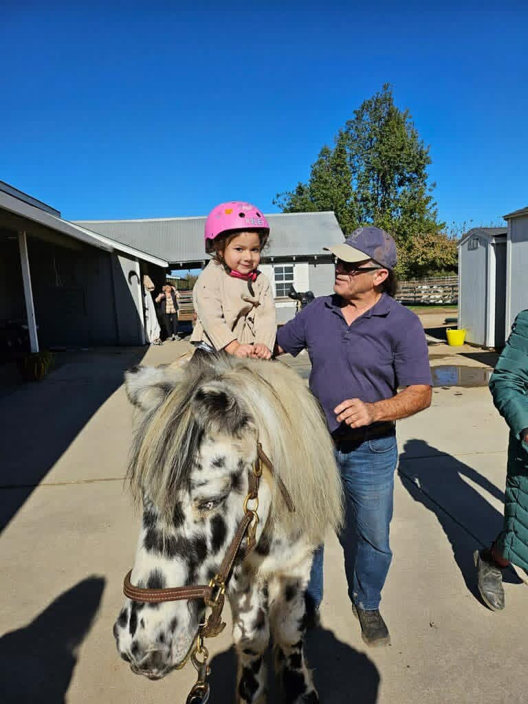 Child pony ride experience