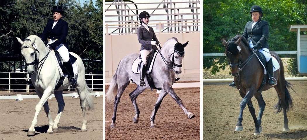 Dressage performance