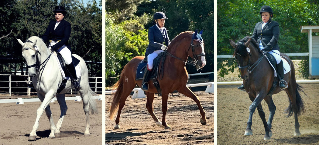 Silver Bell Barn Equestrian Facility