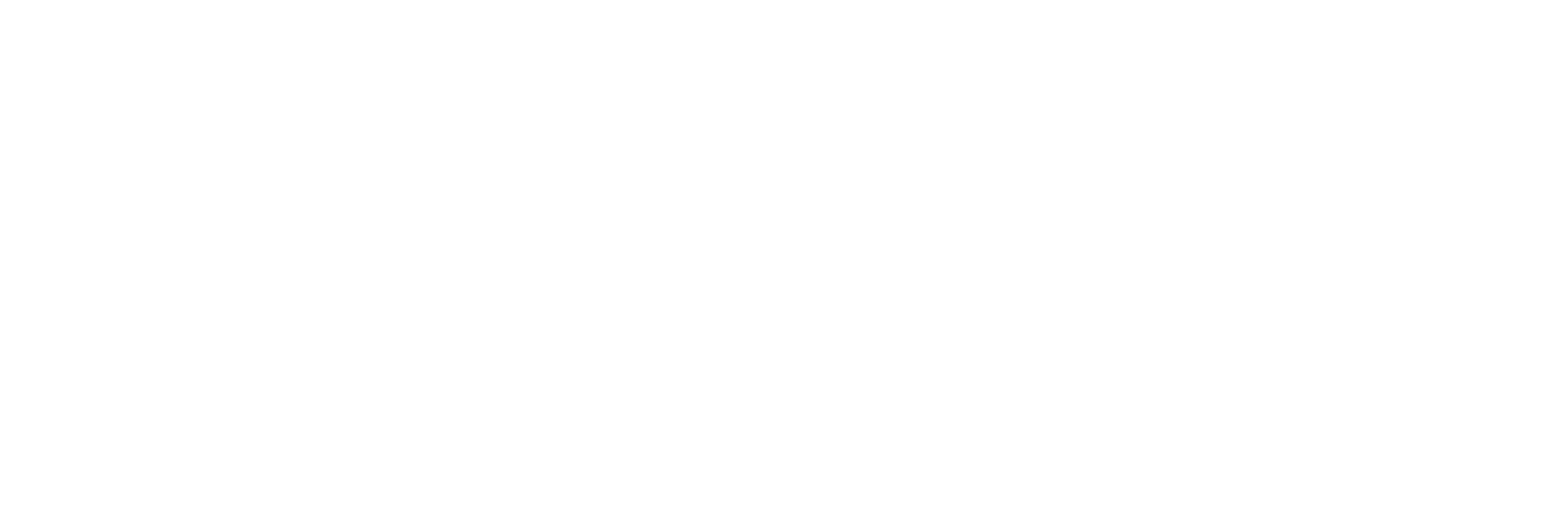Boomering Logo