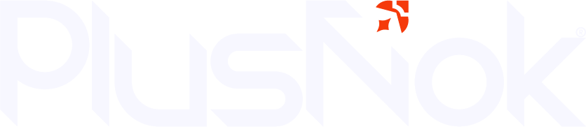 PlusNok Logo