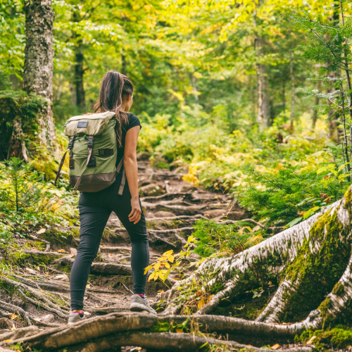 Woman hiking alone on a forest trail in the woods