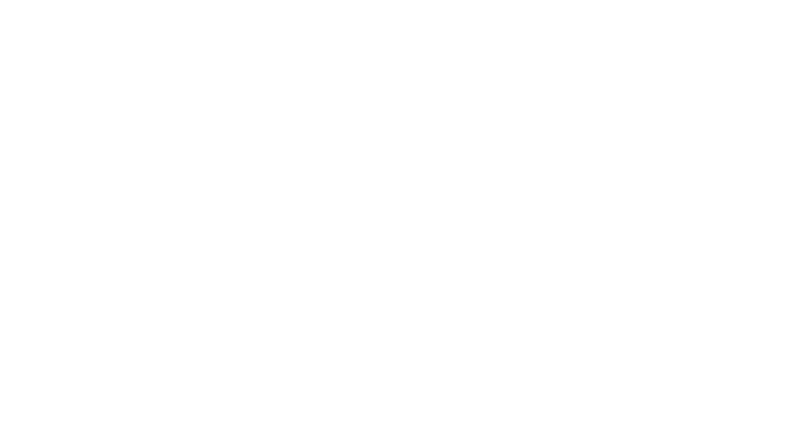 Lenz Connect