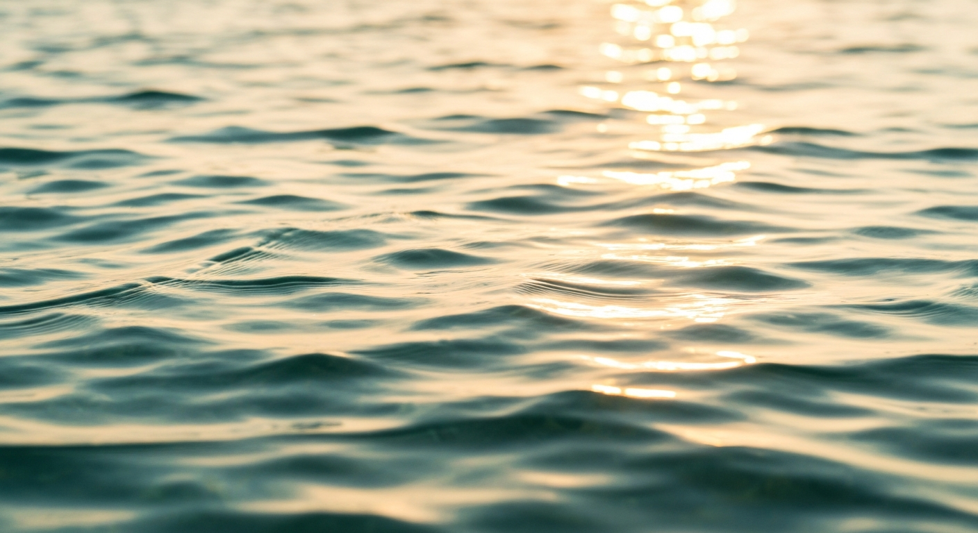 Clear water ripples catching morning sunlight