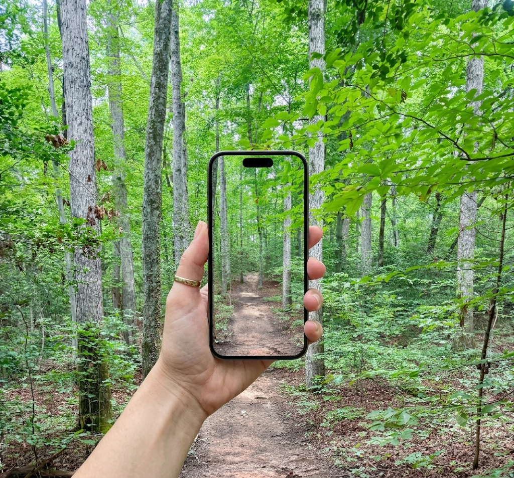 Hand holding phone with forest path visible through screen