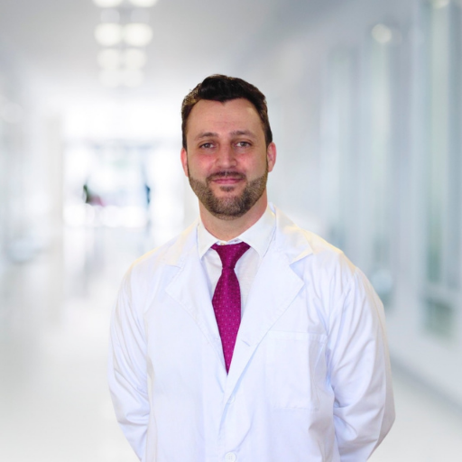 Dr. David J. Palao