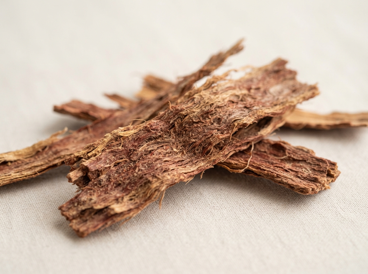 Slippery Elm Bark (Ulmus rubra) botanical used in NutriNoche Essiac Tea