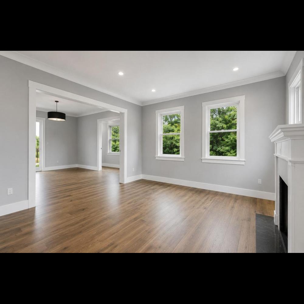 Dominex Interior Painting