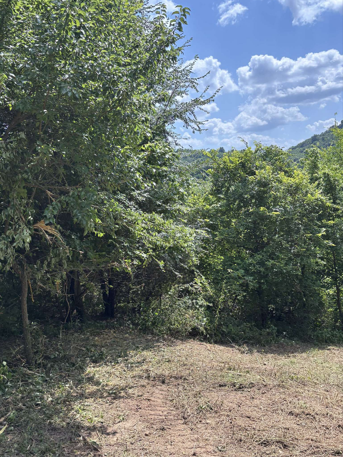 Hunting Trail Clearing - Sparta, TN
