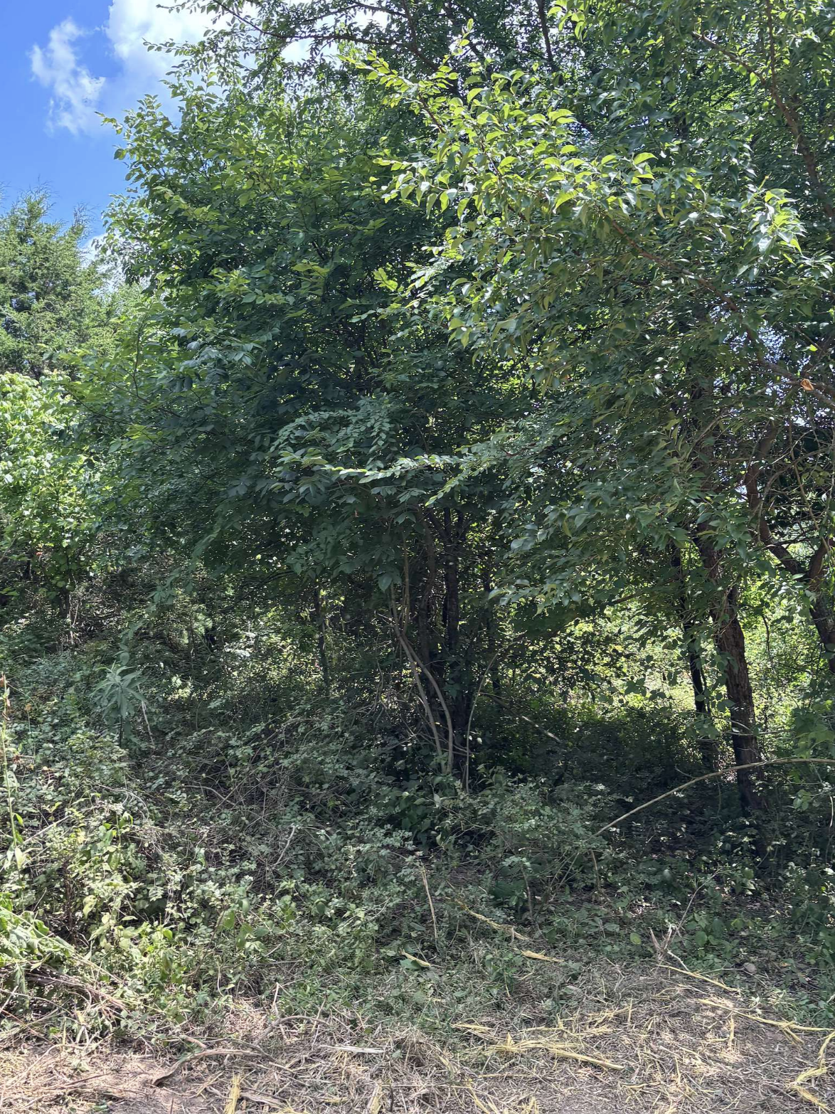 Trail Creation - Middle Tennessee