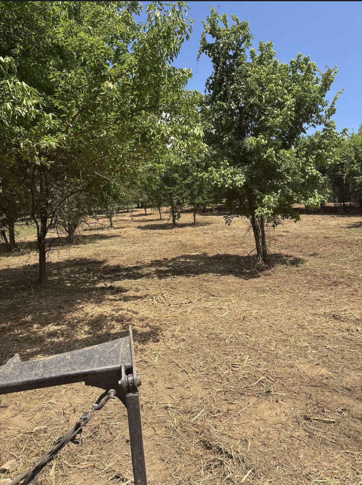 Property Cleanup - Middle Tennessee