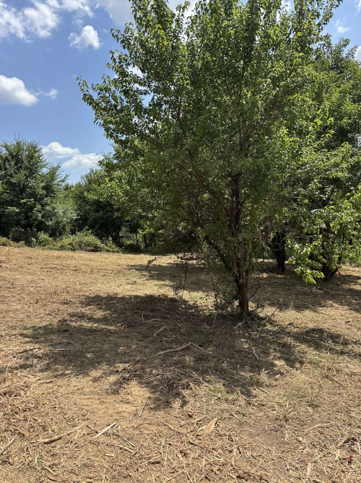 Land Clearing - Middle Tennessee