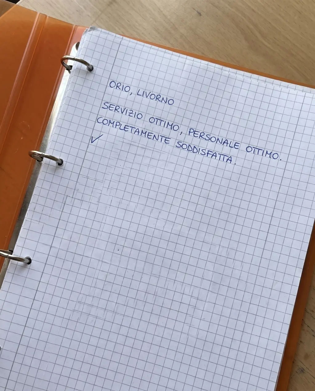 Recensione scritta a mano 2