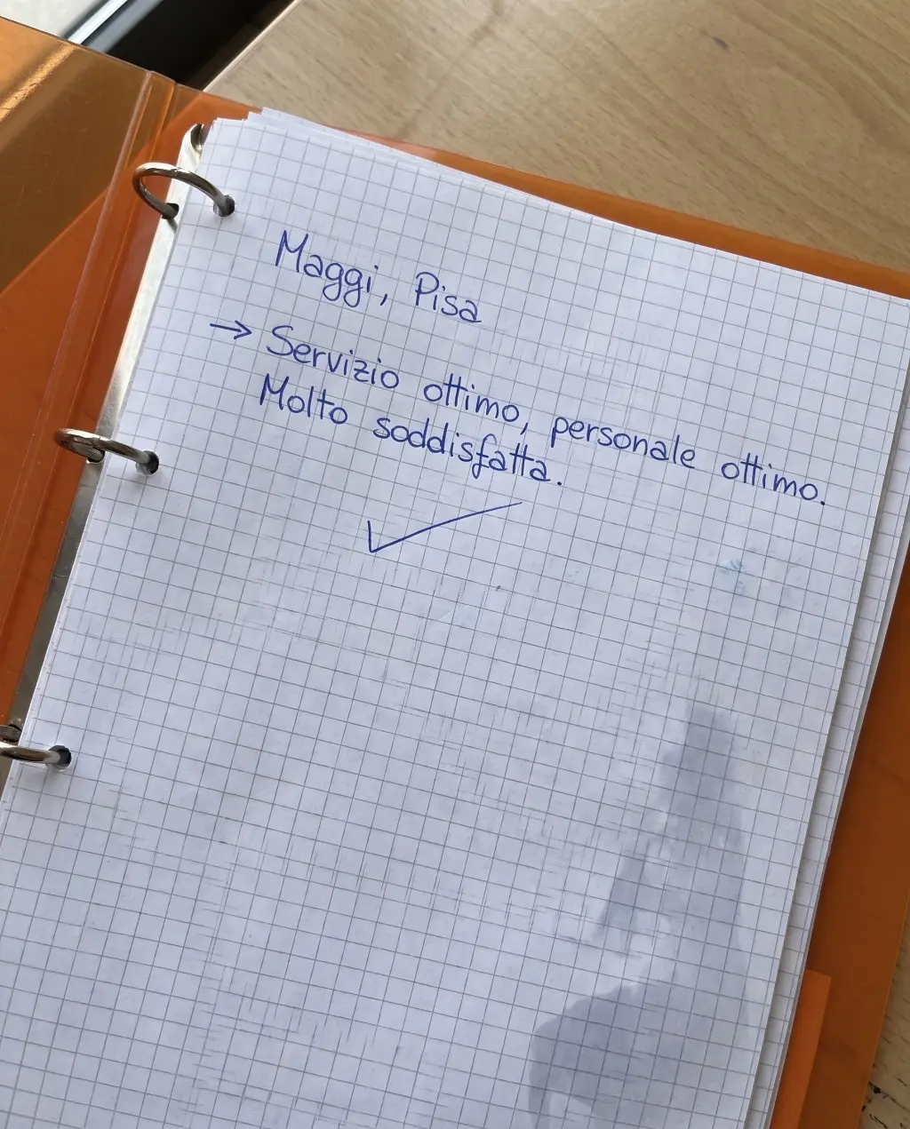Recensione scritta a mano 3