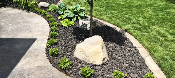 Landscaping