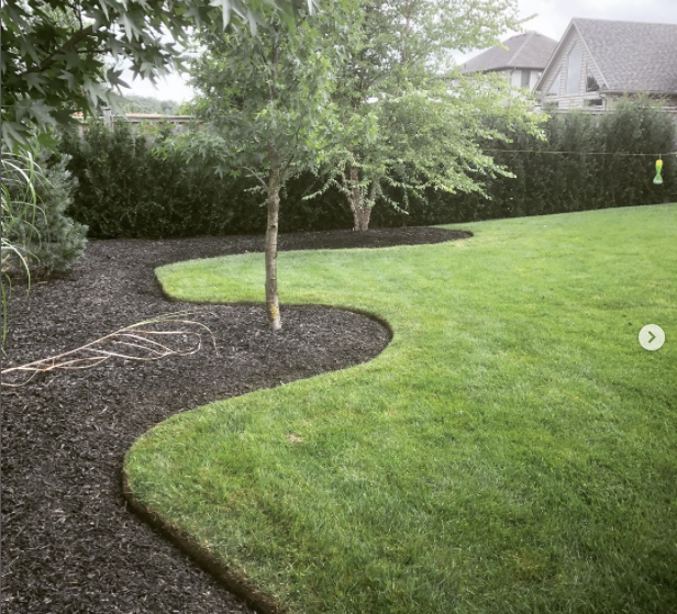 Crisp curved garden bed edging with dark mulch and manicured lawn in London, Ontario
