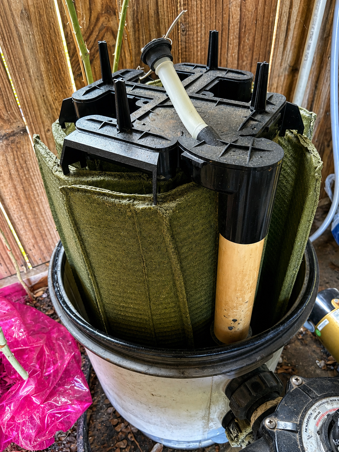 Before Cleaning