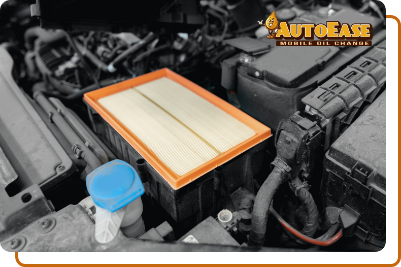 Filter Replacement Service