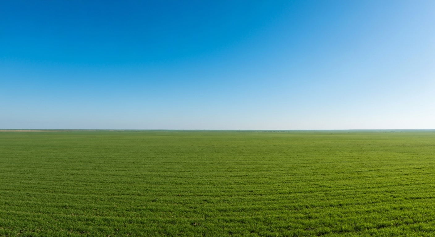 Open landscape