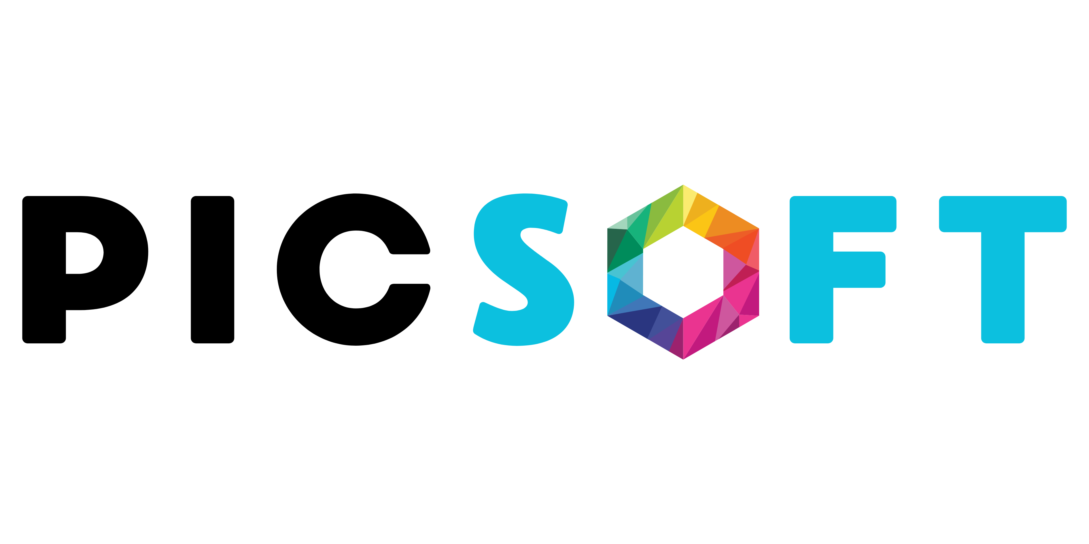 PICSOFT LTD