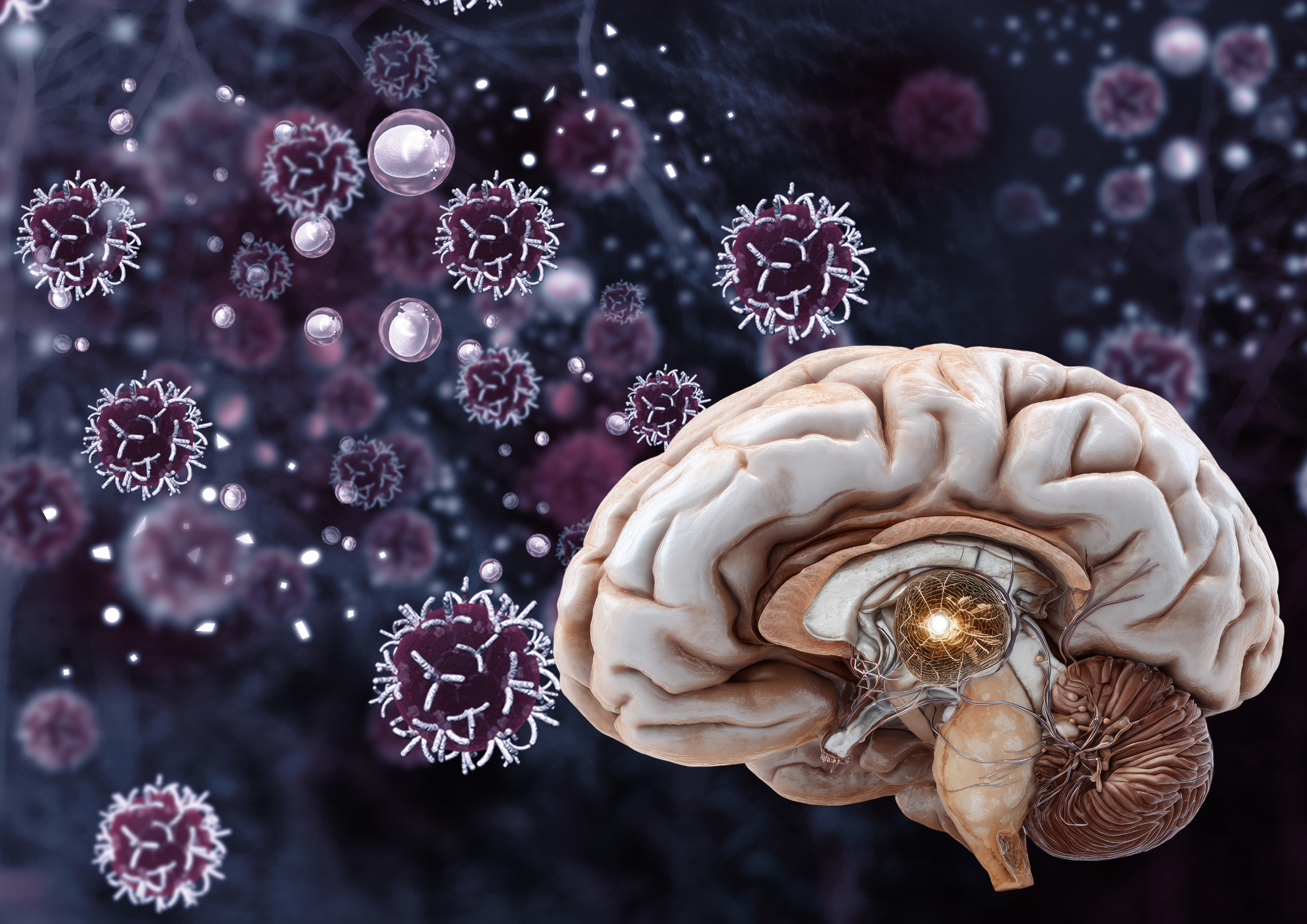 Esquema de la conexión entre el sistema nervioso, inmune y endocrino en psiconeuroinmunología