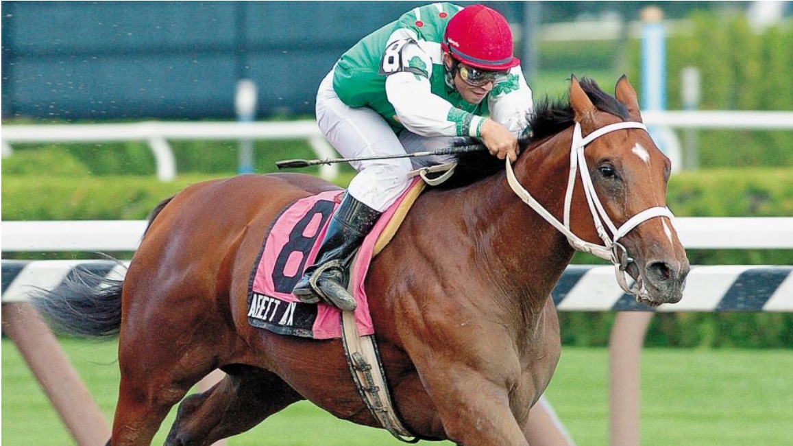 Racehorse performing at high speed