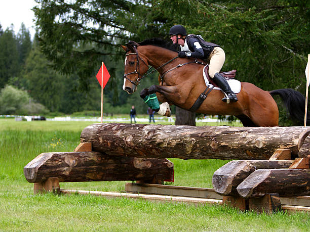 Cross country jumping horse