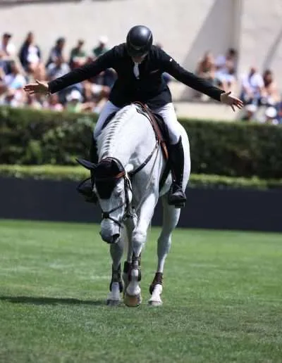 Show jumping horse demonstrating high performance