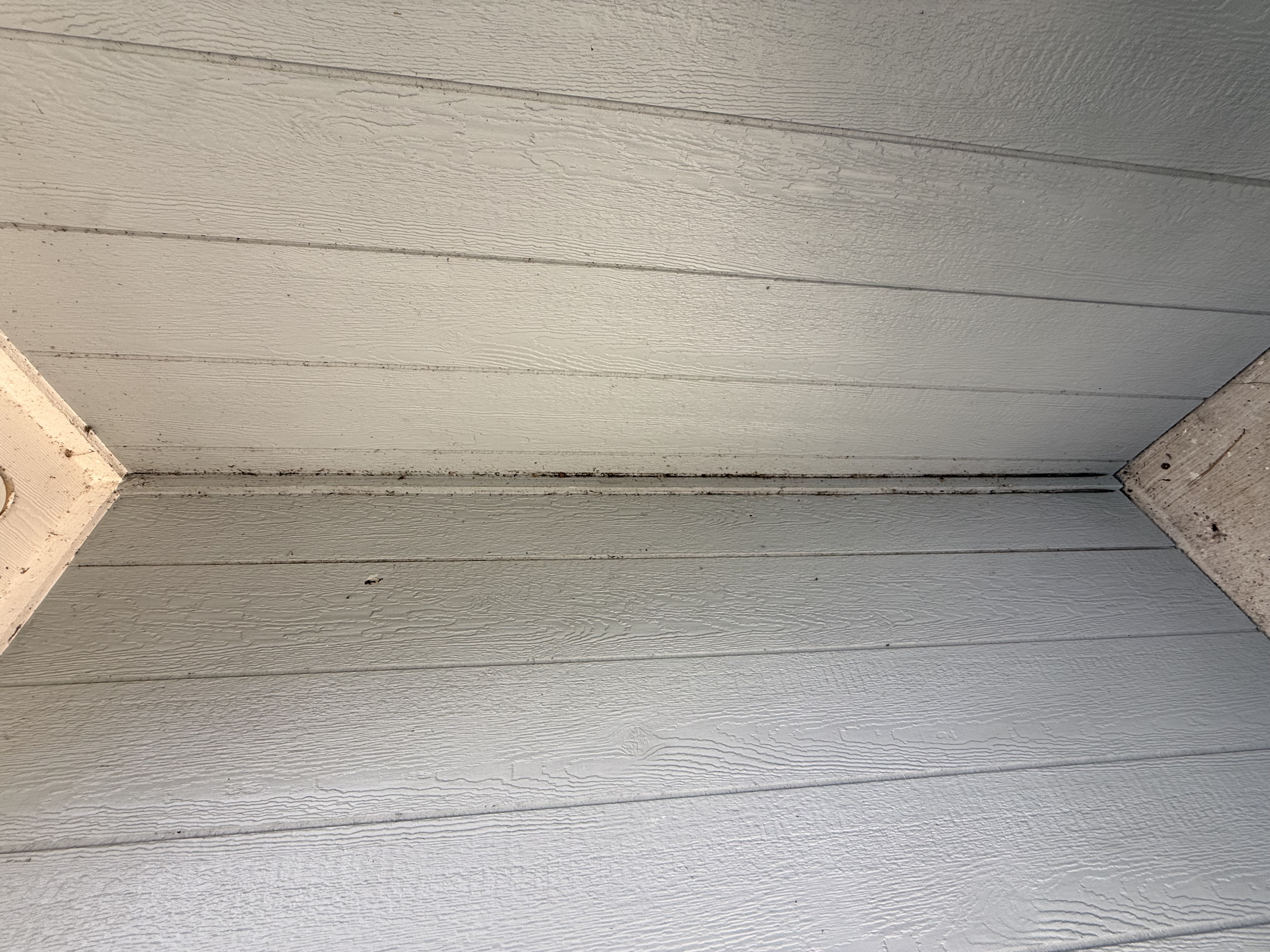 Recent exterior cleaning work 19