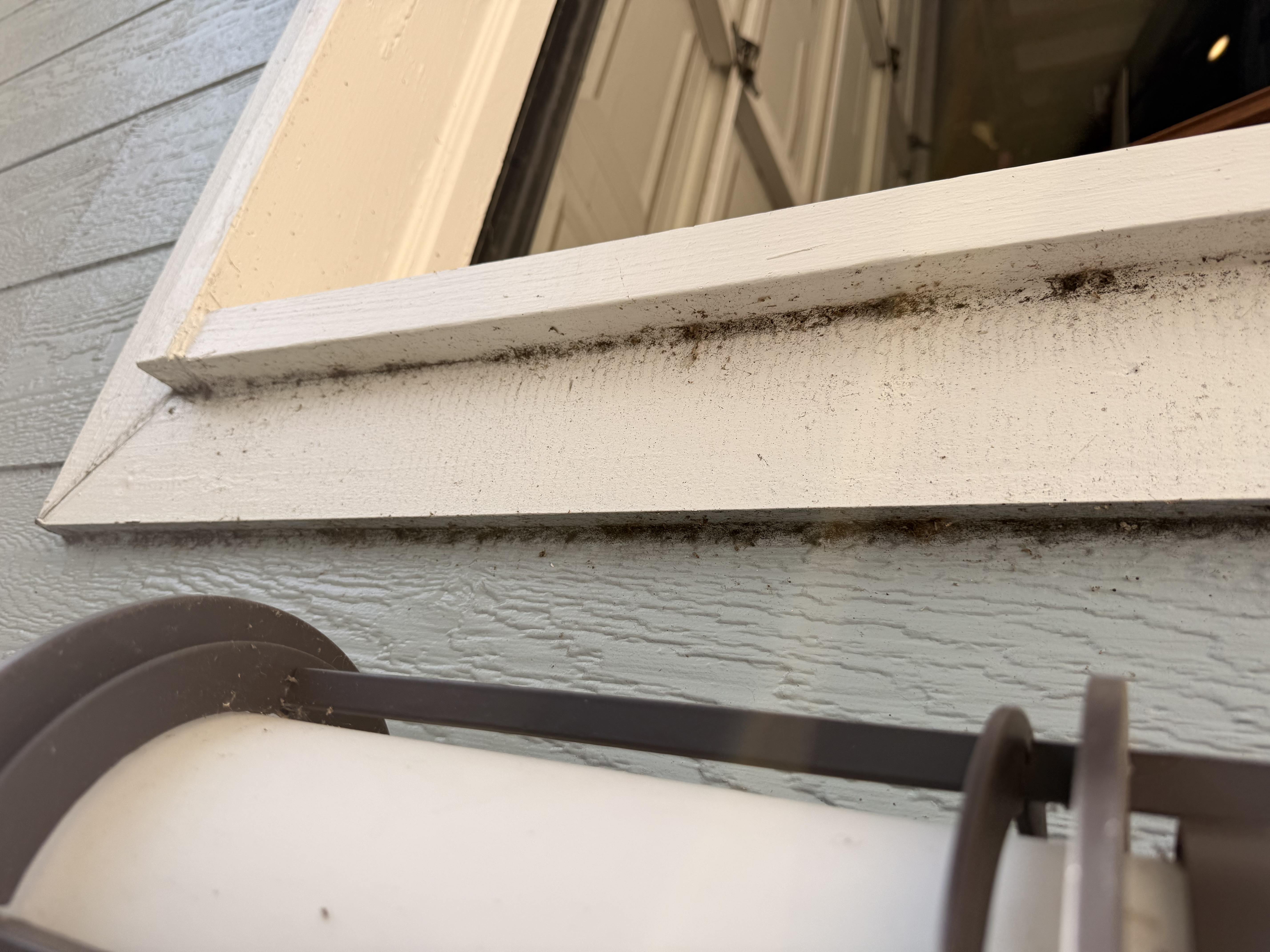 Recent exterior cleaning work 17