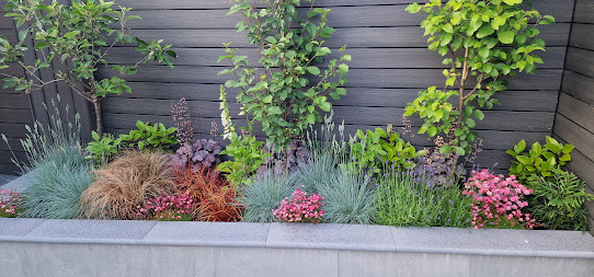 Planting scheme example 3