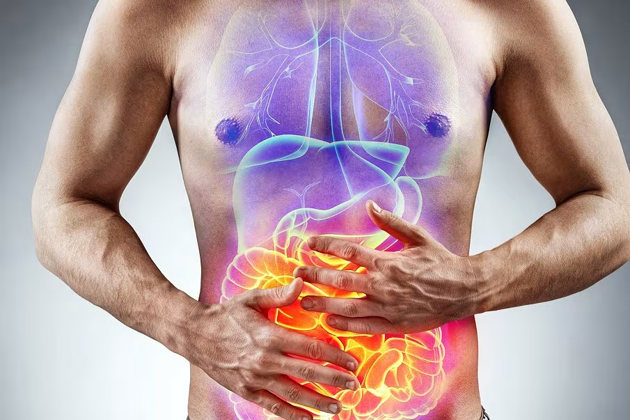 Artículo de nutrición: Inflamación crónica de bajo grado: El asesino silencioso