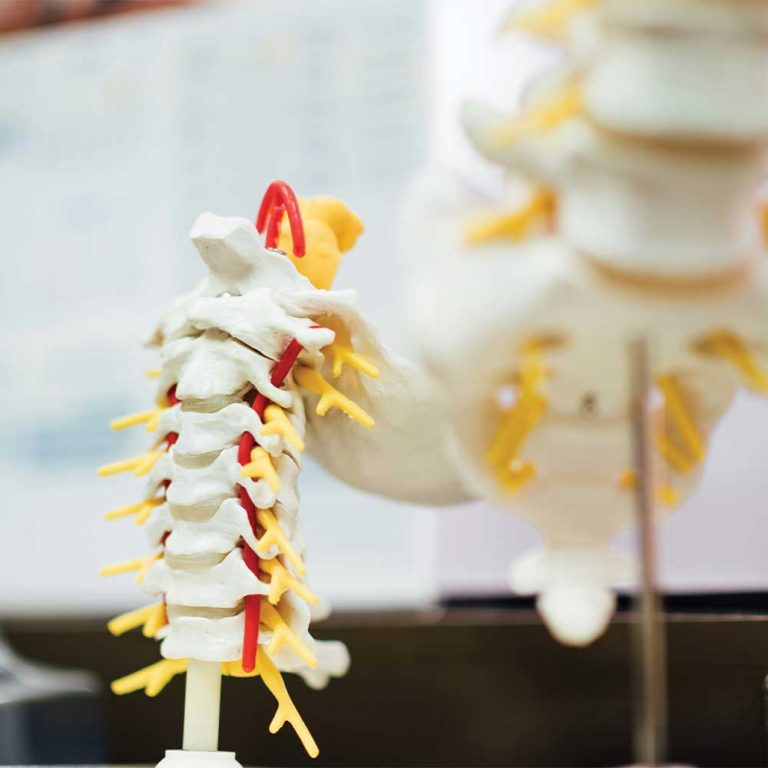 Intersegmental Traction Therapy