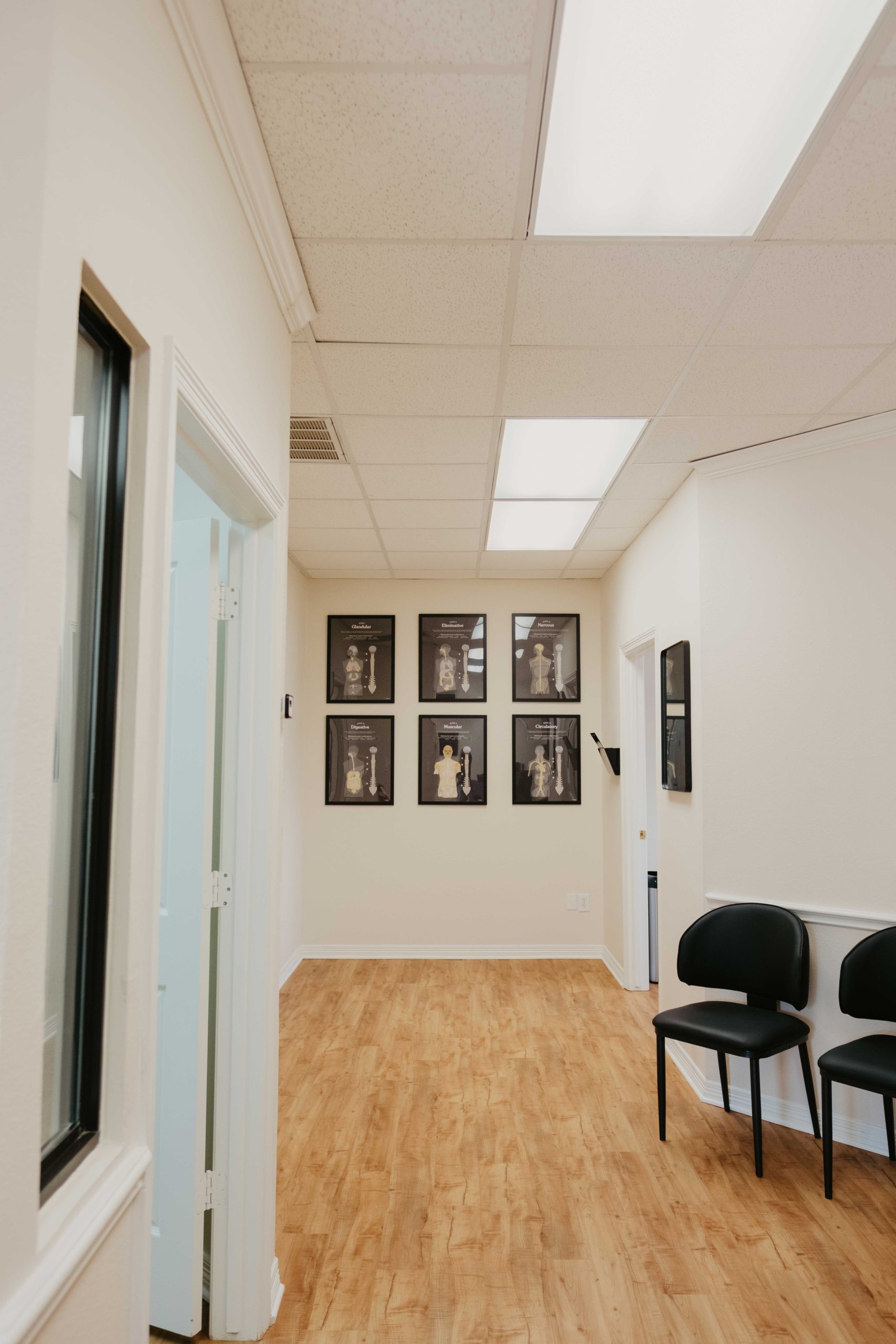 Plano Zone Chiropractic Waiting Room