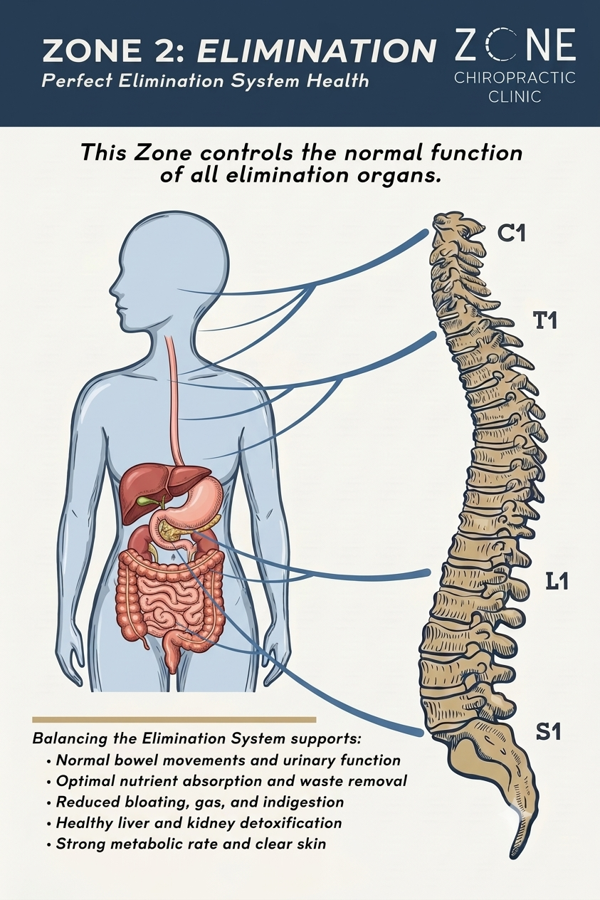 Zone 2: Elimination System illustration